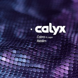 Cobra / Riddim
