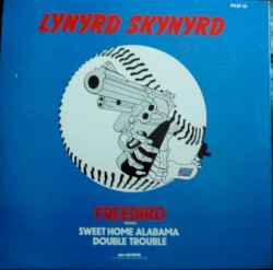 Freebird / Sweet Home Alabama / Double Trouble