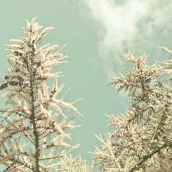 暖かな季節 (Warm Season)