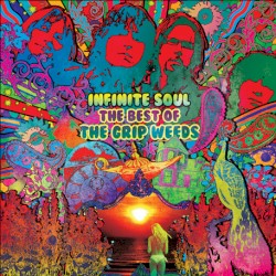 Infinite Soul: The Best Of The Grip Weeds